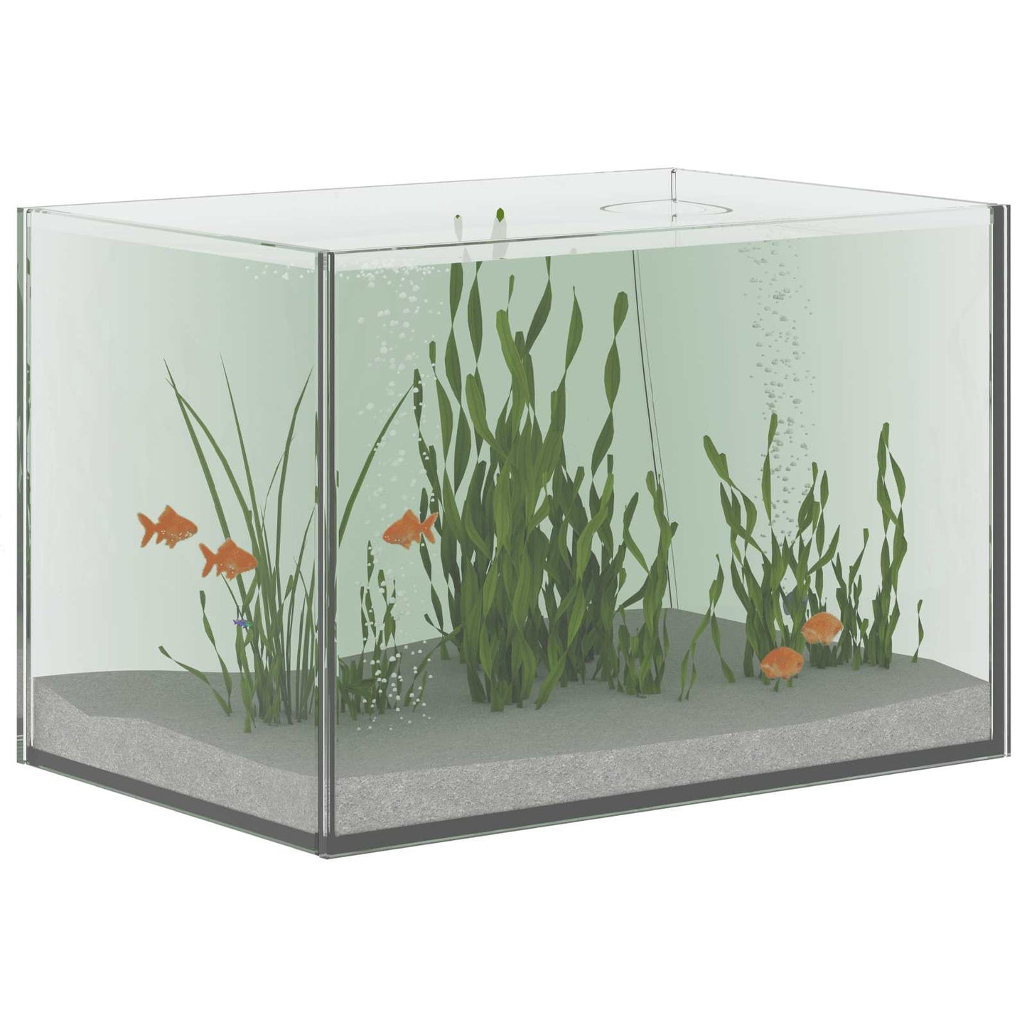 Aquarium with Storage Transparent 30 x 20 x 20 cm Glass