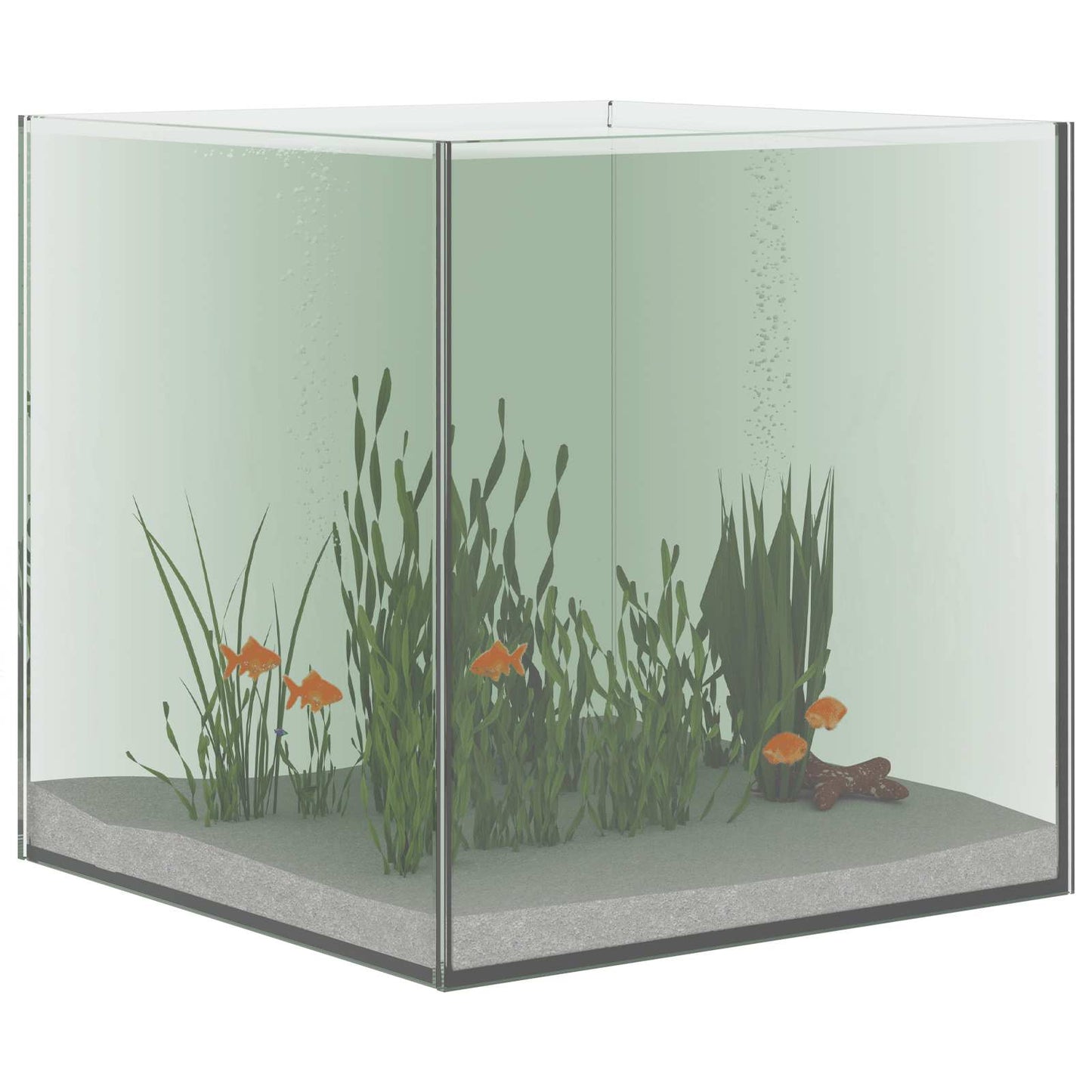 Aquarium with Storage Transparent 30 x 30 x 30 cm Glass