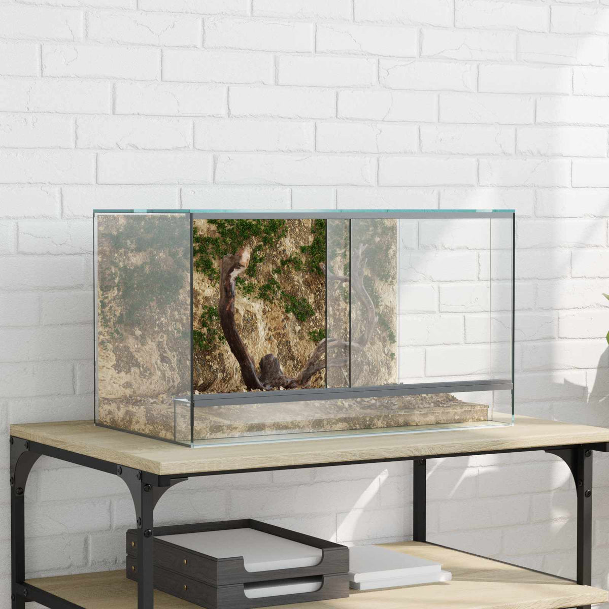 Terrarium with Storage Transparent 50 x 30 x 30 cm Glass