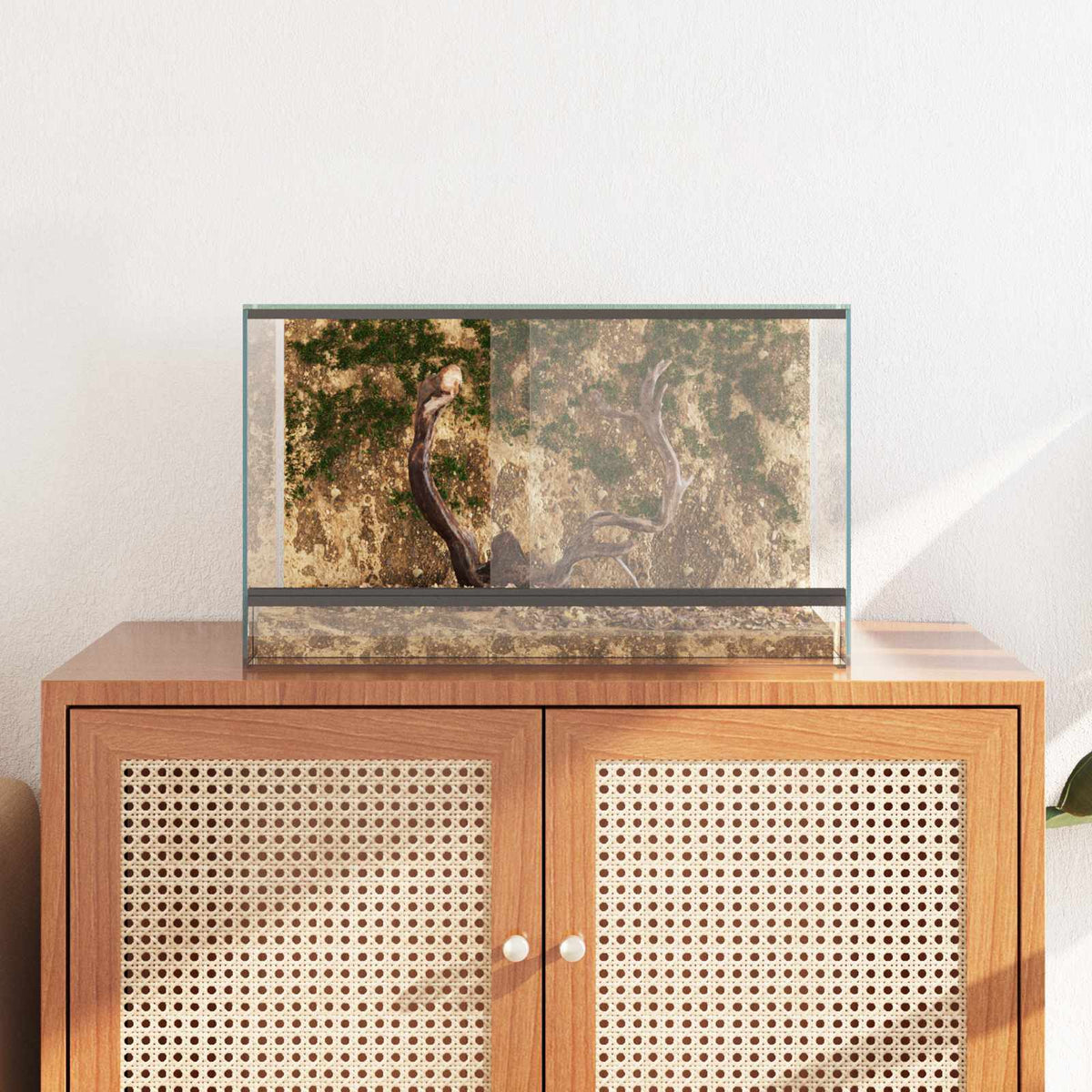 Terrarium with Storage Transparent 50 x 30 x 30 cm Glass