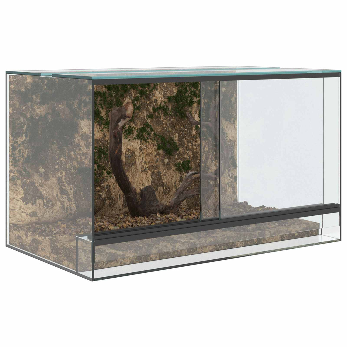 Terrarium with Storage Transparent 50 x 30 x 30 cm Glass