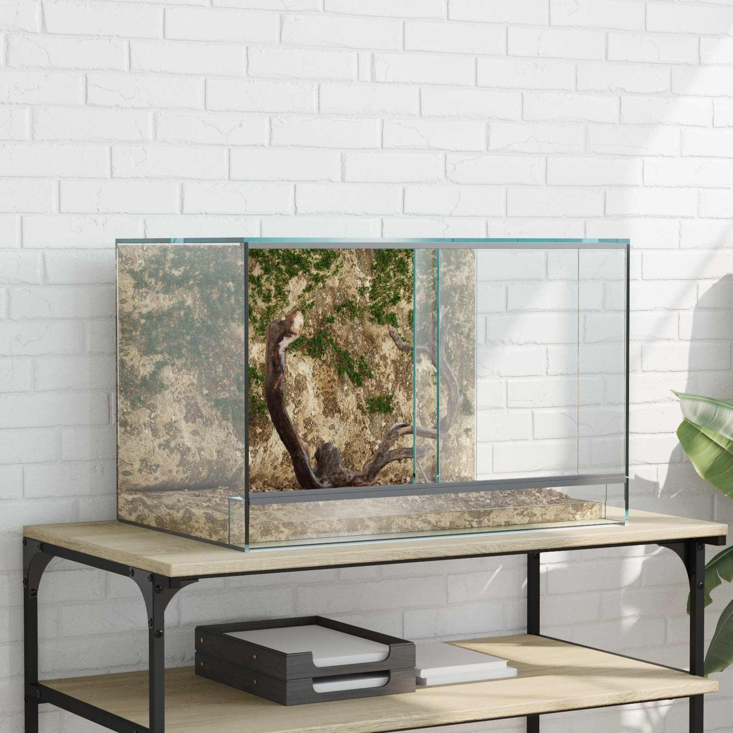 Terrarium with Storage Transparent 60 x 40 x 40 cm Glass