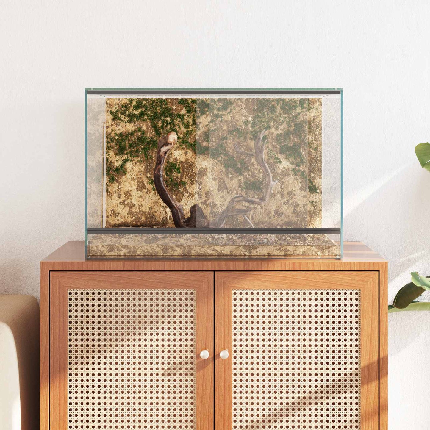 Terrarium with Storage Transparent 60 x 40 x 40 cm Glass