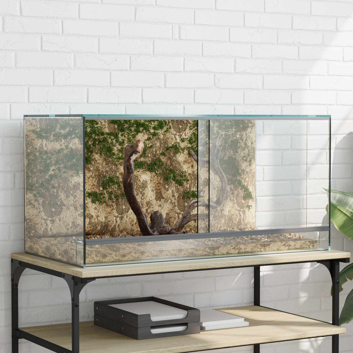 Terrarium with Storage Transparent 80 x 40 x 40 cm Glass