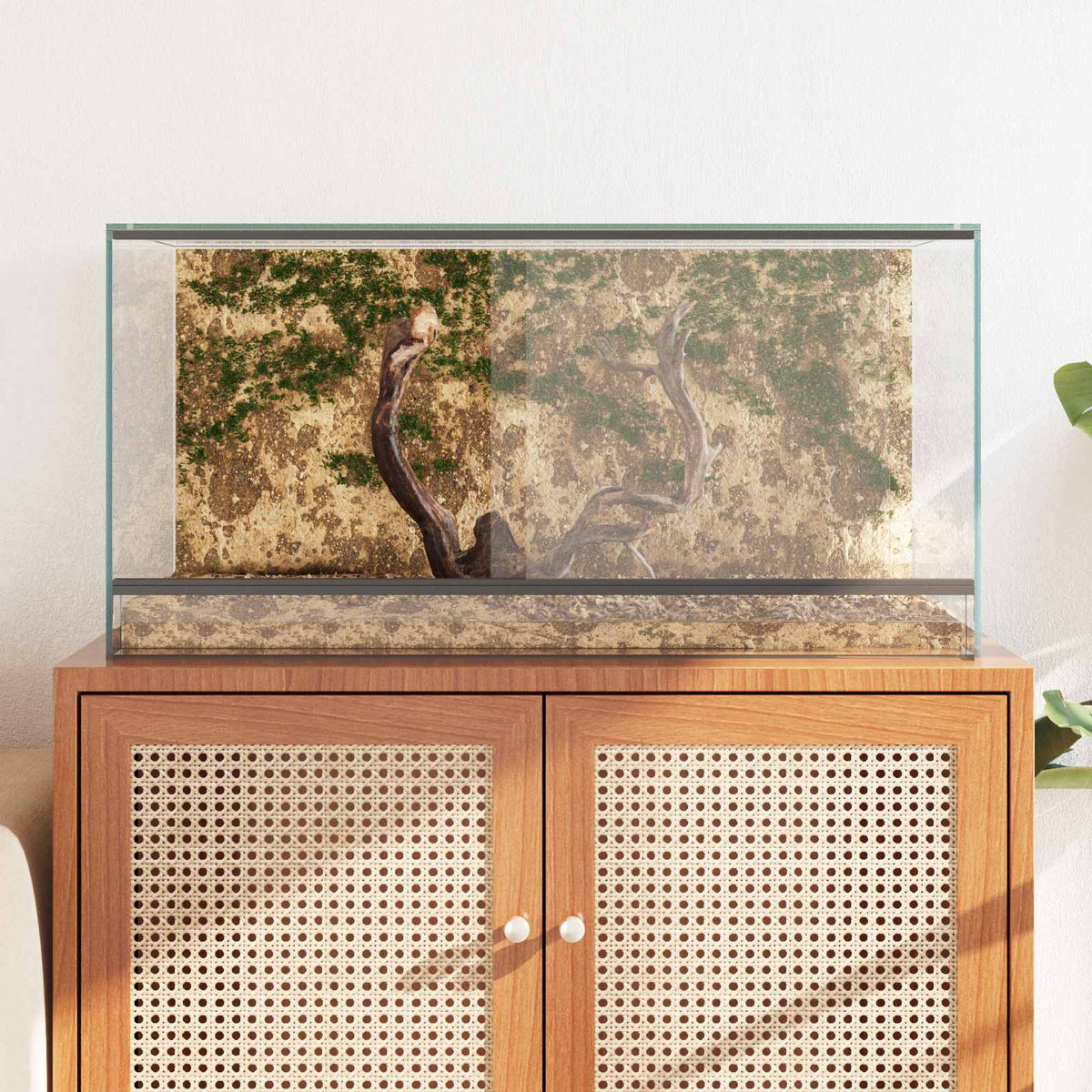 Terrarium with Storage Transparent 80 x 40 x 40 cm Glass