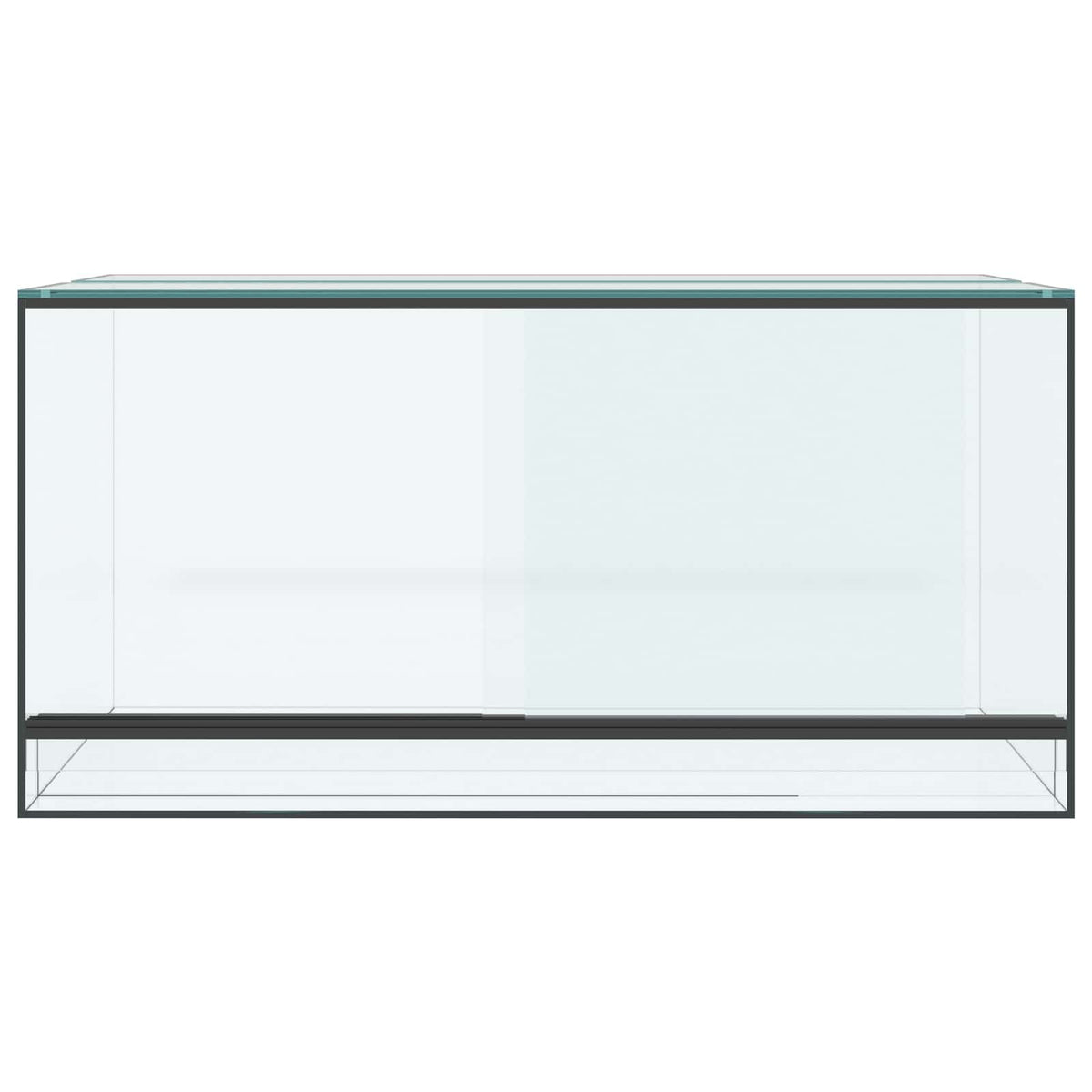 Terrarium with Storage Transparent 80 x 40 x 40 cm Glass