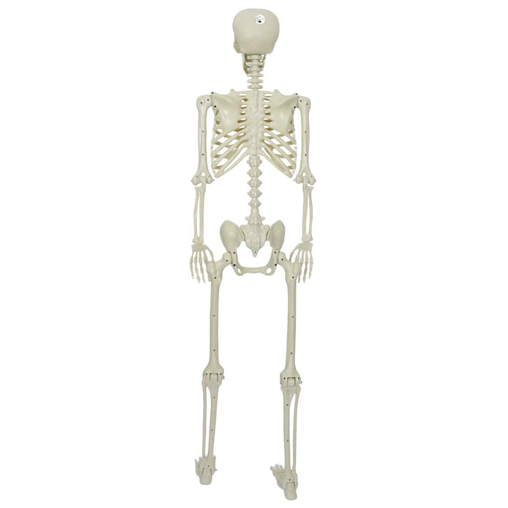 Halloween Skeleton White 155 x 38.5 cm Polypropylene