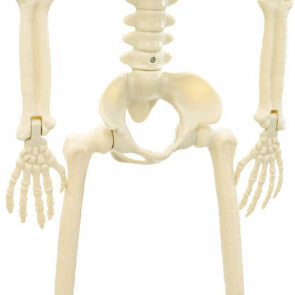Halloween Skeleton 2 pcs White 85 cm Polypropylene