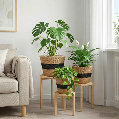Seagrass Plant Baskets 3 pcs Natural and Black Ø26 x 19 cm