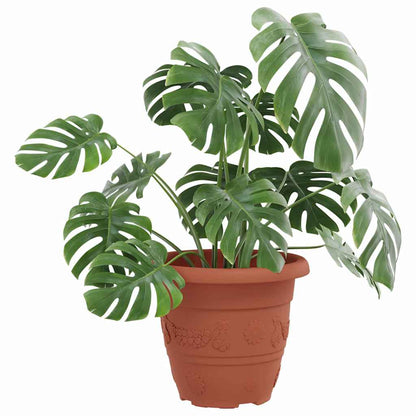 Round Flower Pot 6 pcs Brick Red Ø 22 x 18 cm Plastic