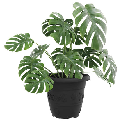 Round Flower Pot 6 pcs Black Ø 22 x 18 cm Plastic