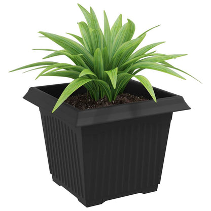 Square Flower Pot 6 pcs Black 23 x 23 x 17.5 cm Plastic