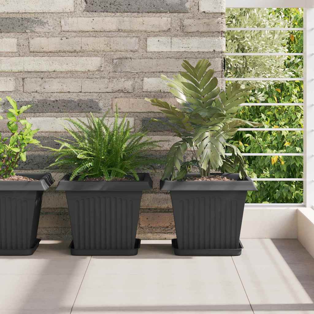 Square Flower Tray 24 pcs Black 21 x 21 x 2 cm Plastic