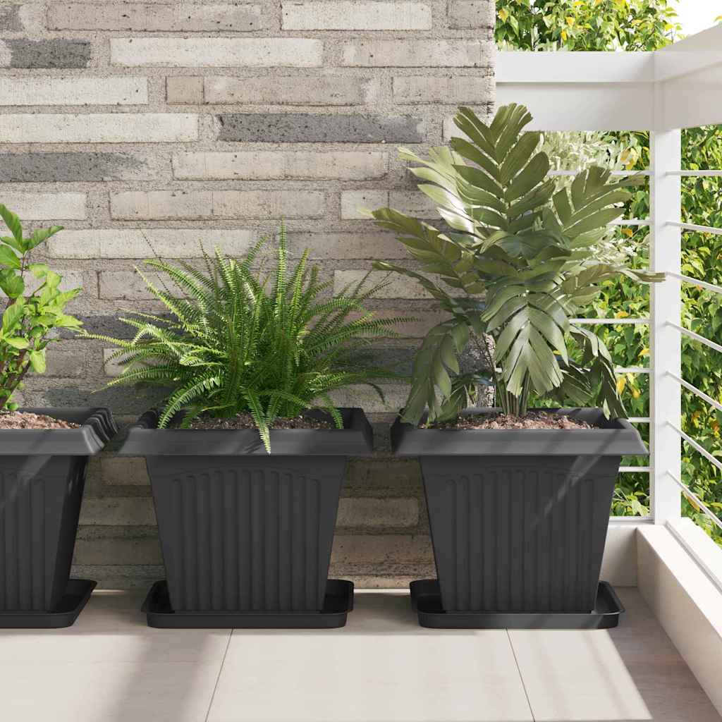 Square Flower Tray 24 pcs Black 32 x 32 x 2.5 cm Plastic