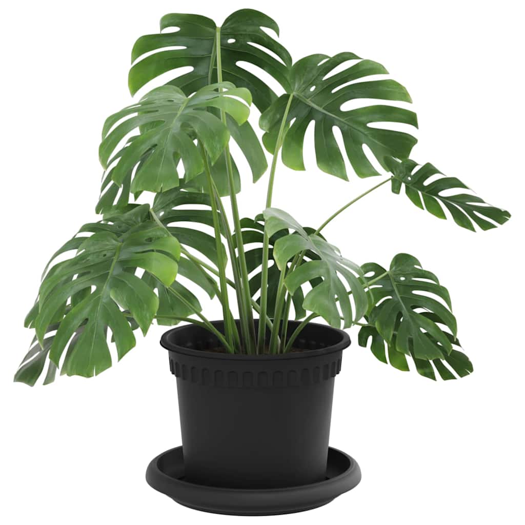 Plant Pots 6 pcs Black Ø 12.5 x 10 cm Plastic