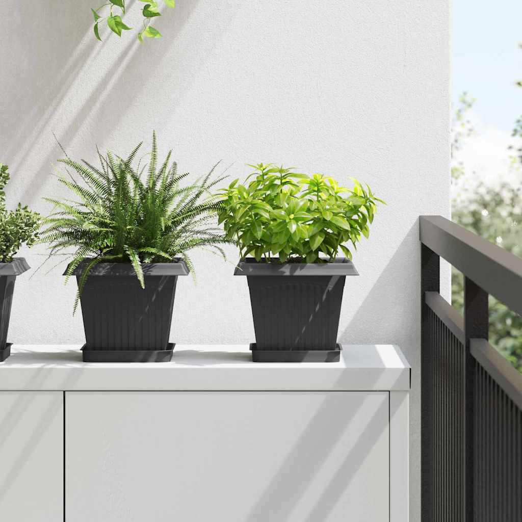 Plant Pots 6 pcs Black 20 x 20 x 16 cm Plastic