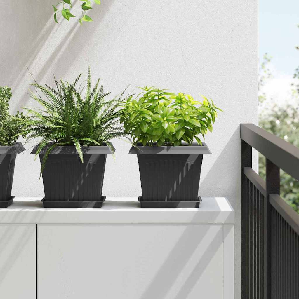 Plant Pots 6 pcs Black 23 x 23 x 17.5 cm Plastic