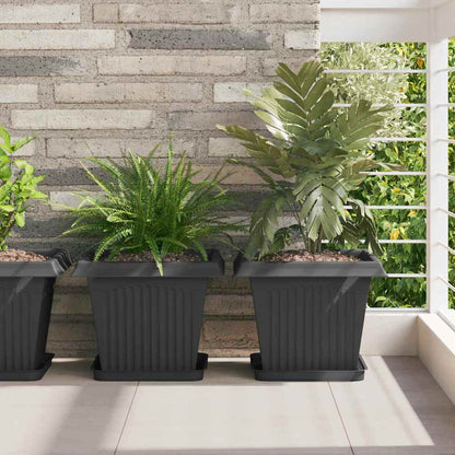Plant Pots 6 pcs Black 33 x 33 x 26 cm Plastic