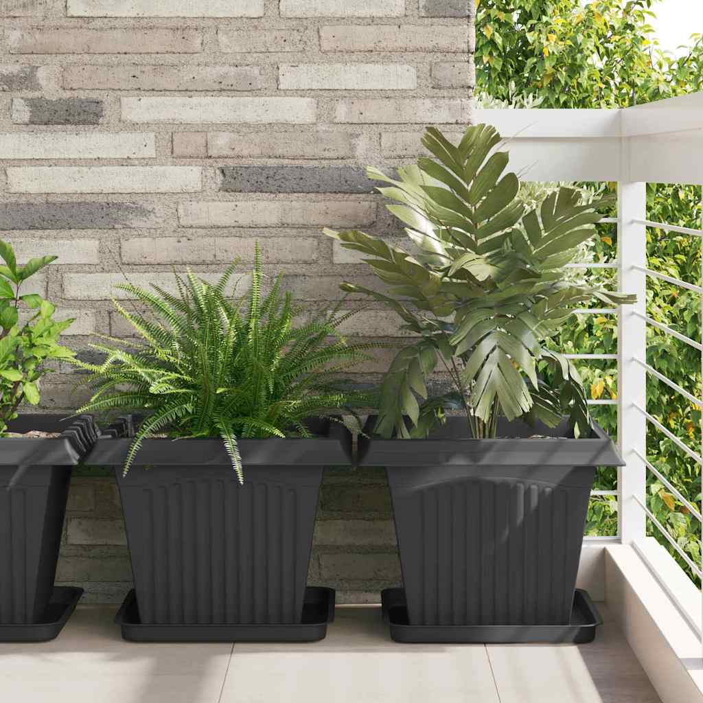 Plant Pots 6 pcs Black 43 x 43 x 33.5 cm Plastic