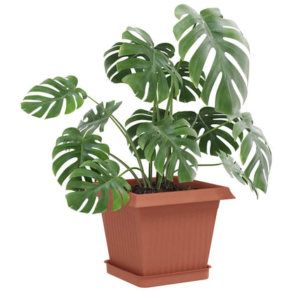 Plant Pots 24 pcs Brick Red 16 x 16 x 14 cm Plastic