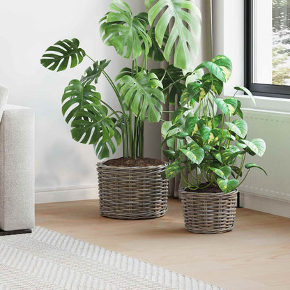 Planter Basket with Storage 2 pcs Grey