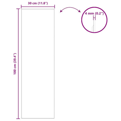 Wall Mirror Rectangular 30 x 100 cm Tempered Glass