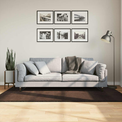 Medium Pile Soft and Washable Rug HUARTE Brown 170 x 120 cm