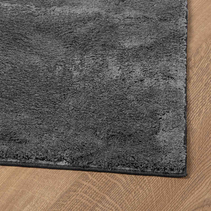 Medium Pile Soft and Washable Rug HUARTE Anthracite 80 x 750 cm