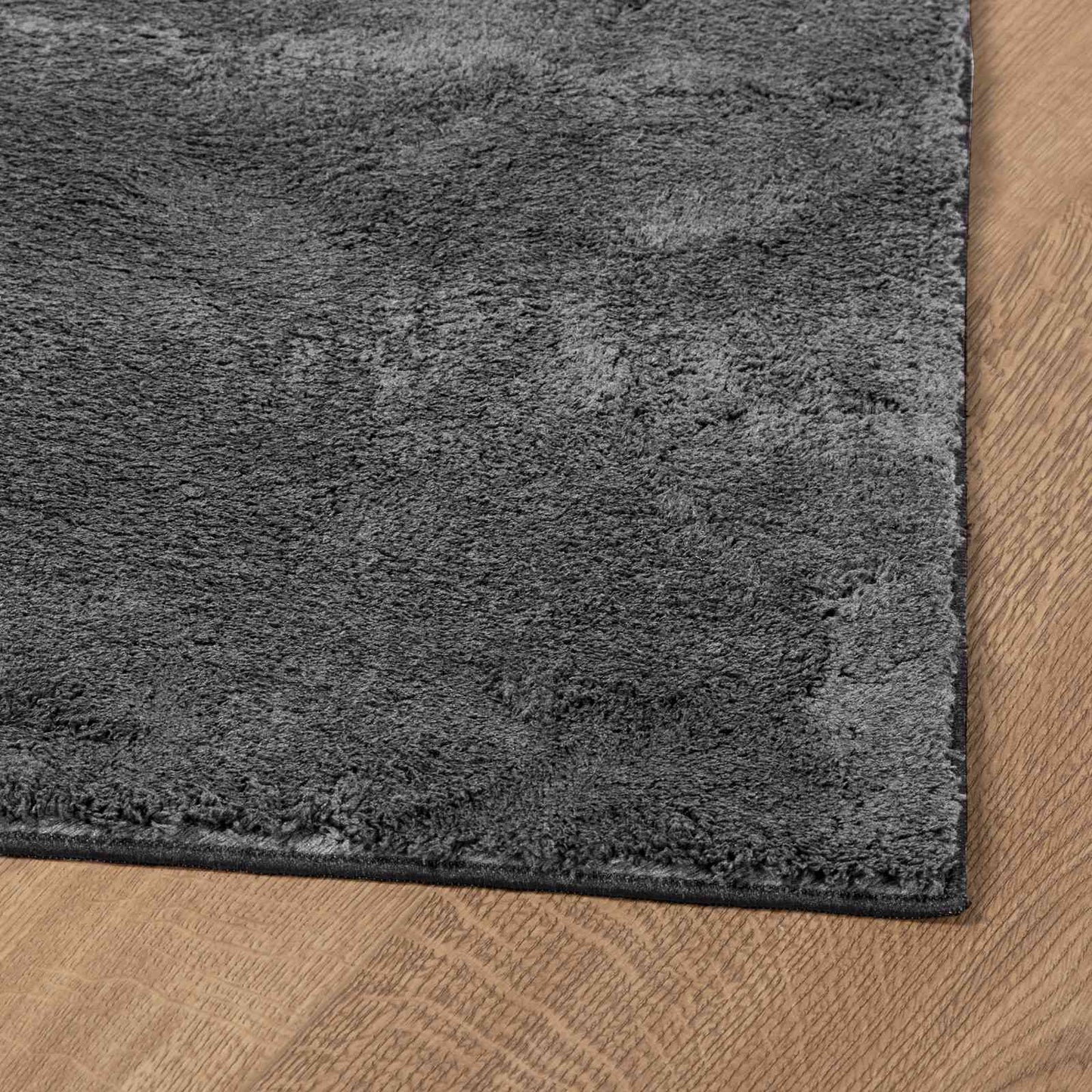 Medium Pile Soft and Washable Rug HUARTE Anthracite Polyester