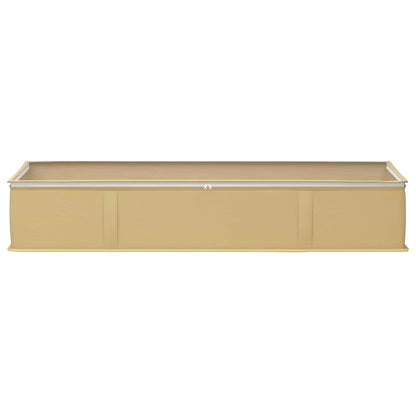Storage Box with Transparent Top Window 6 pcs Cream