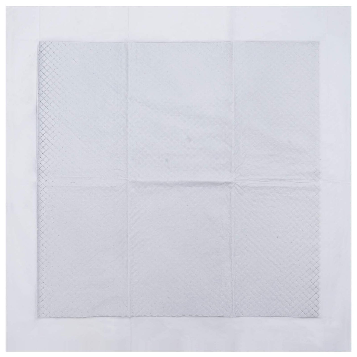 Non-woven Fabric Pet Training Pad 400 pcs 60 x 60 cm