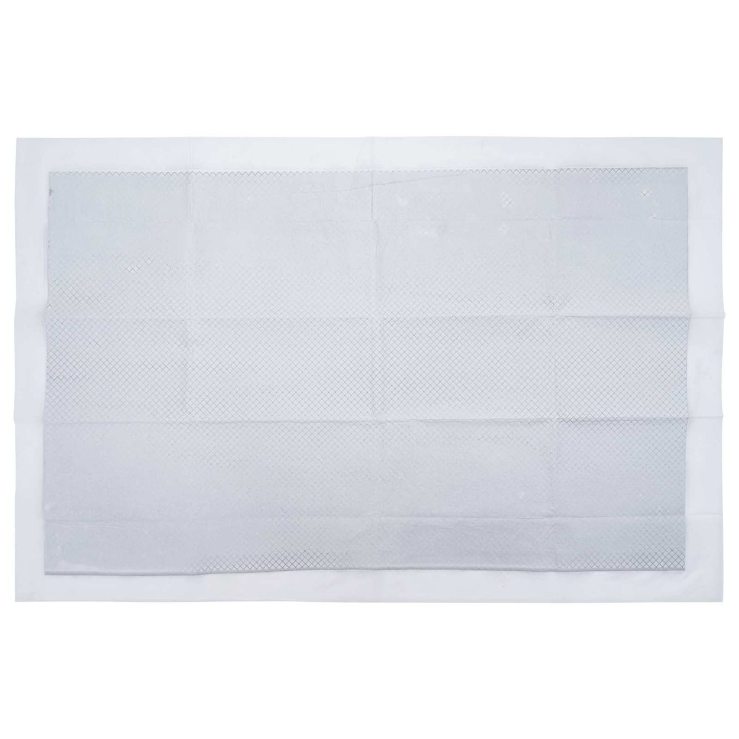 Non-woven Fabric Pet Training Pad 250 pcs 120 x 80 cm
