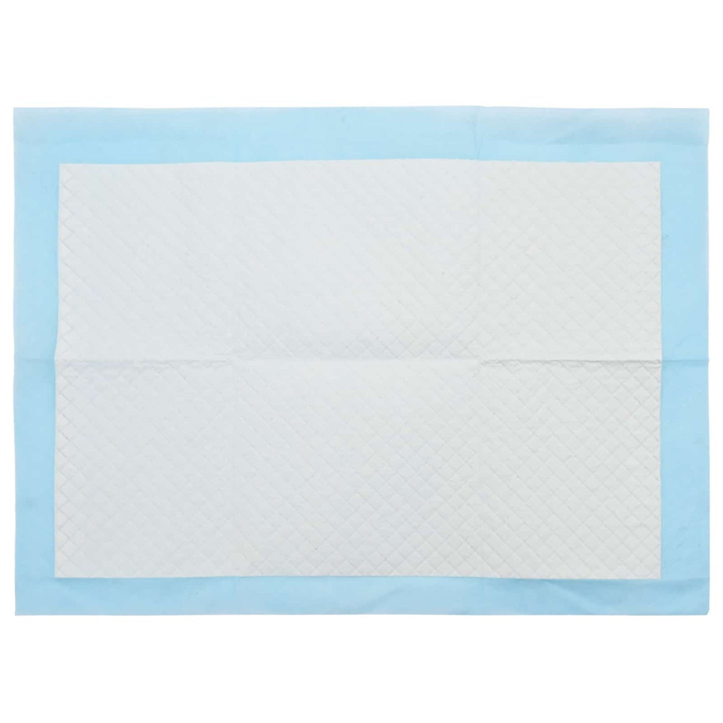 Non-woven Fabric Pet Training Pad 50 pcs Blue and White