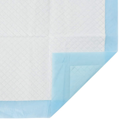 Non-woven Fabric Pet Training Pad 100 pcs Blue and White