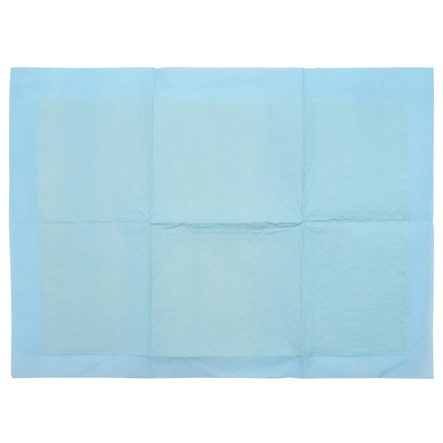 Non-woven Fabric Pet Training Pad 100 pcs Blue and White