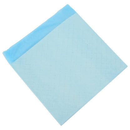 Non-woven Fabric Pet Training Pad 400 pcs Blue and White