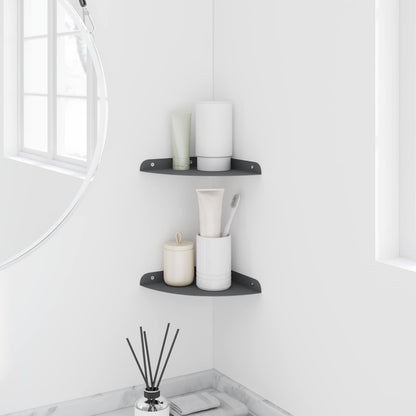 Floating Shelf with Shelf 2 pcs Anthracite 18 x 18 x 2 cm