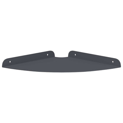 Floating Shelf with Shelf 2 pcs Anthracite 24 x 24 x 2 cm