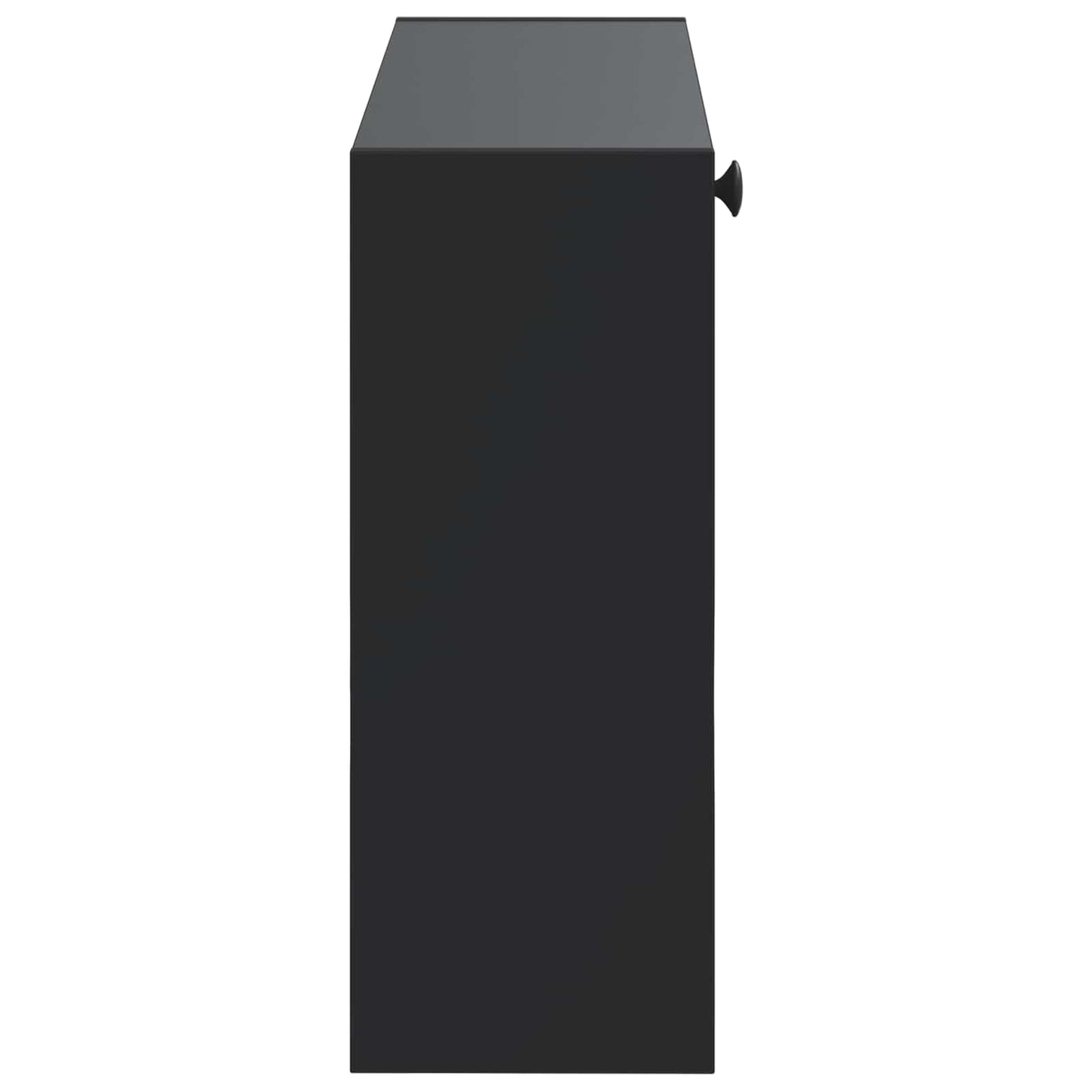Wall-Mounted Shoe Cabinet ALKMAAR 71 x 17 x 43 cm Black