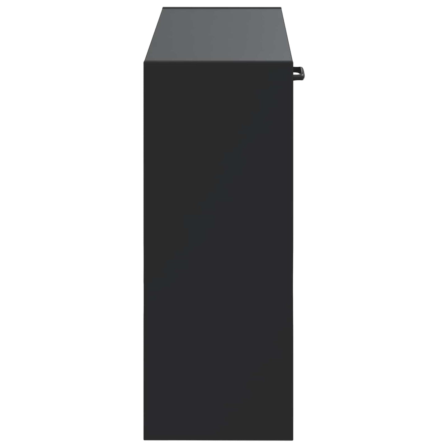 Wall-Mounted Shoe Cabinet HAARLEM 71 x 17 x 43 cm Black