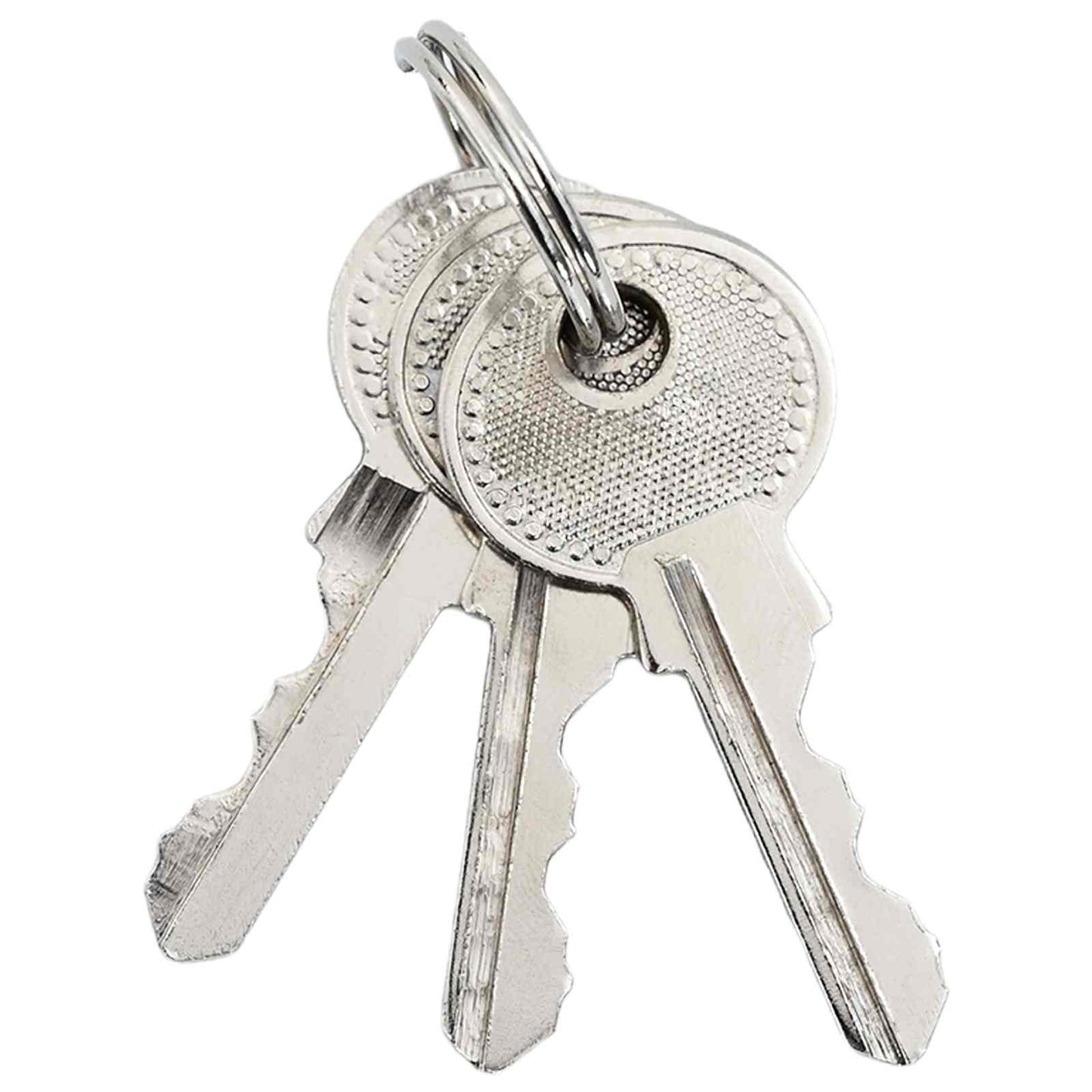 U Lock with Keys Brass 6 x 2 x 9.1 cm Iron