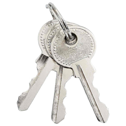 U Lock with Keys Brass 6 x 2 x 9.1 cm Iron