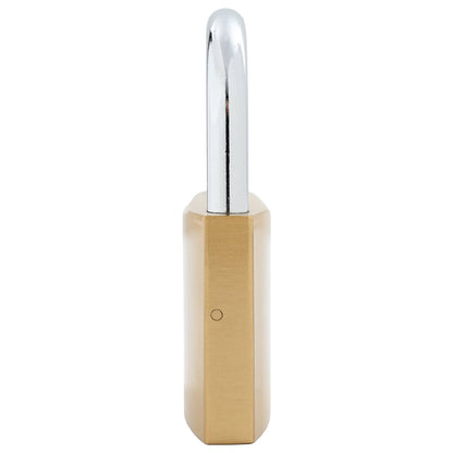 U Lock with Keys Brass 7.4 x 2.1 x 10.6 cm Iron
