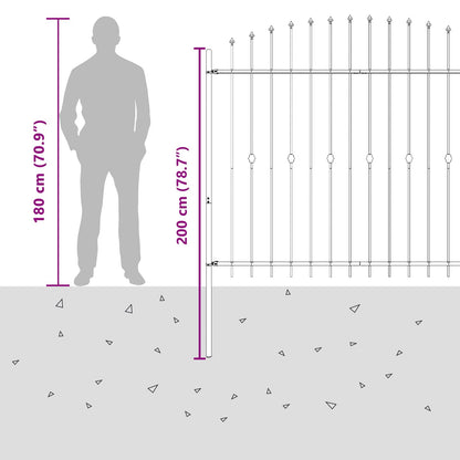 Spike Fence Asten Black 200 x 200 cm Powder-Coated Steel