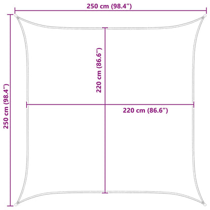 Sun Shade Sail Blue and White 2.5 x 2.5 m 100% Polyester Oxford