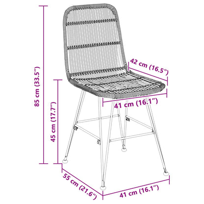 Dinning Chair 2 pcs Black 41 x 55 x 85 cm Rattan and Steel