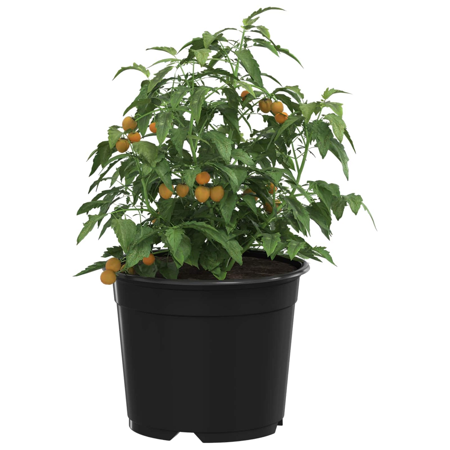 Round Flower Pot 100 pcs Black Ø 10 x 8 cm Plastic
