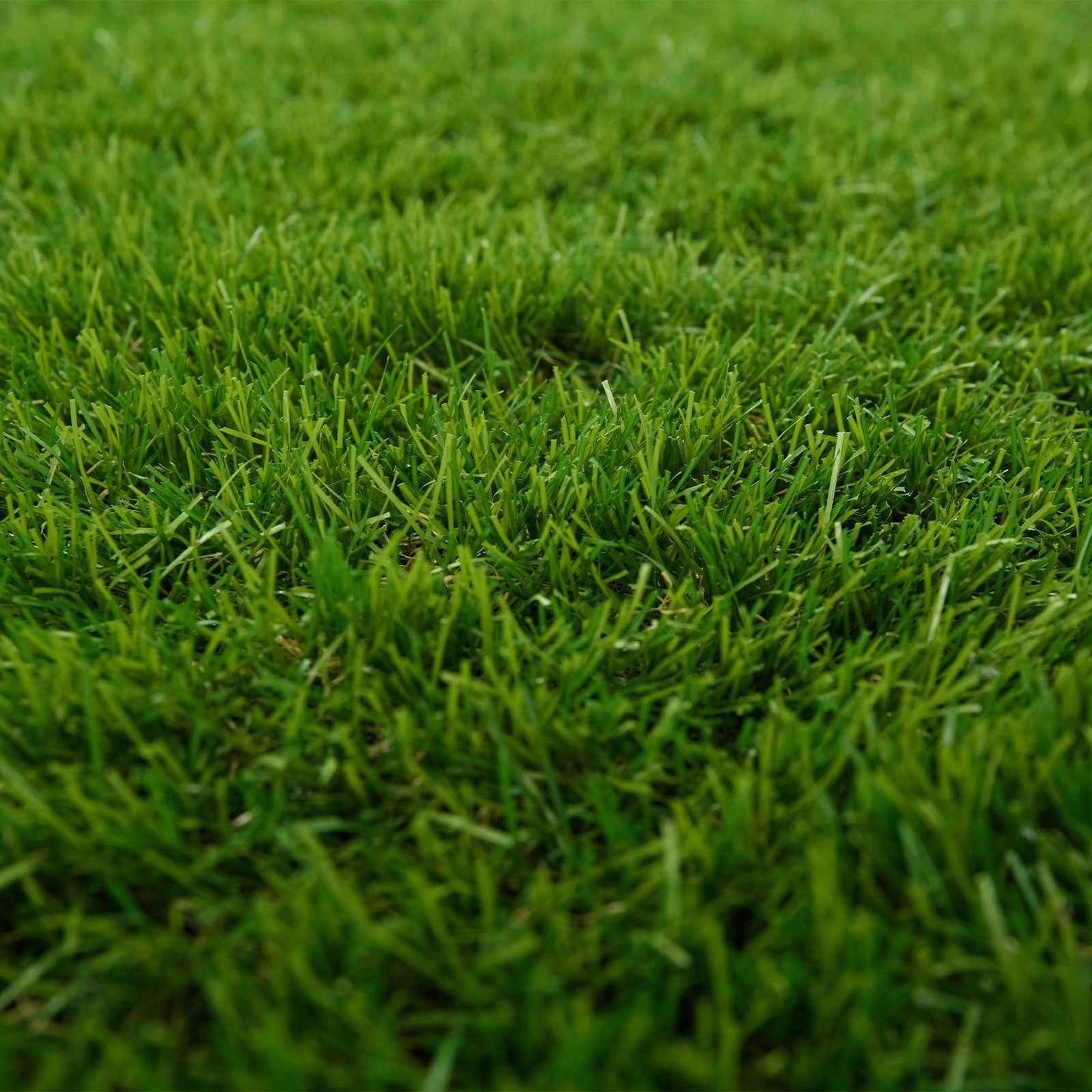 Artificial Grass Green 1 x 8 m / 50 mm PP & PE