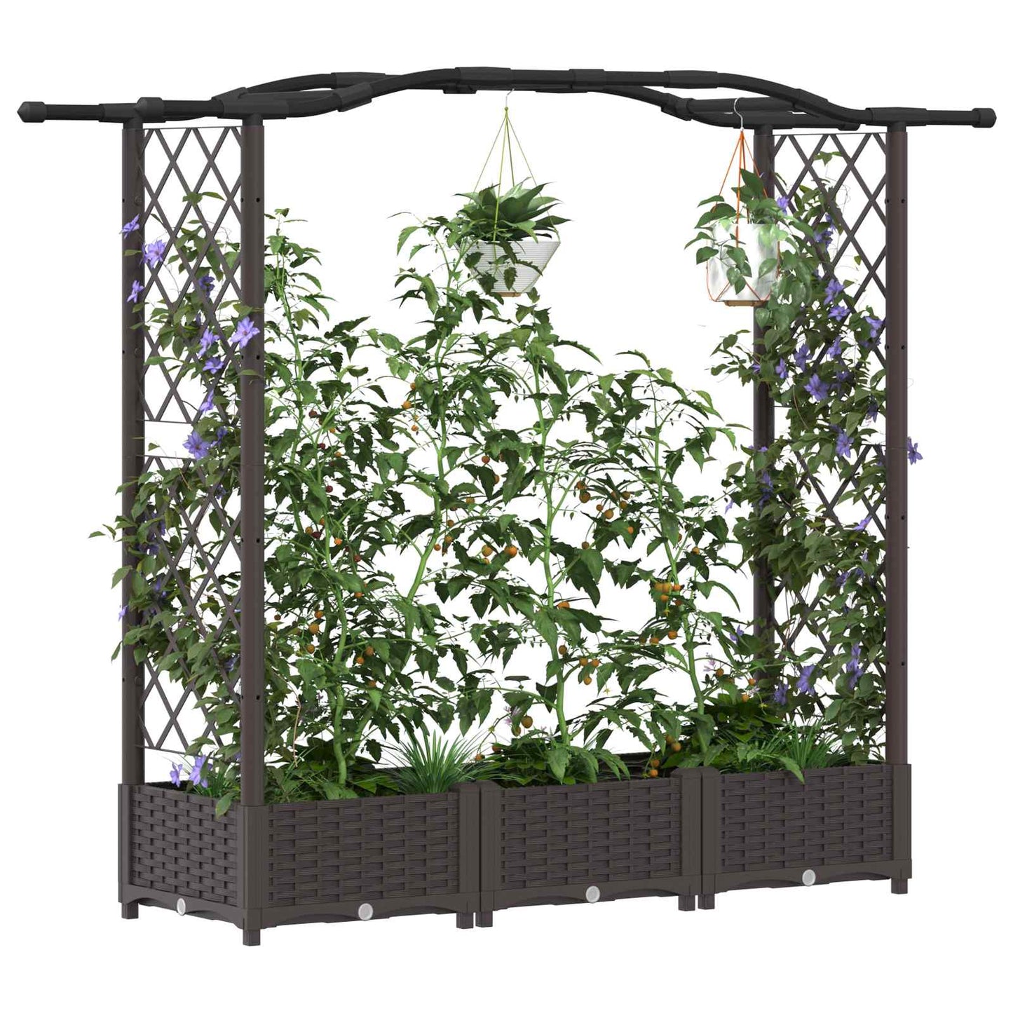 Raised Bed with Trellis and Roof Brown 169 x 40 x 123 cm PP