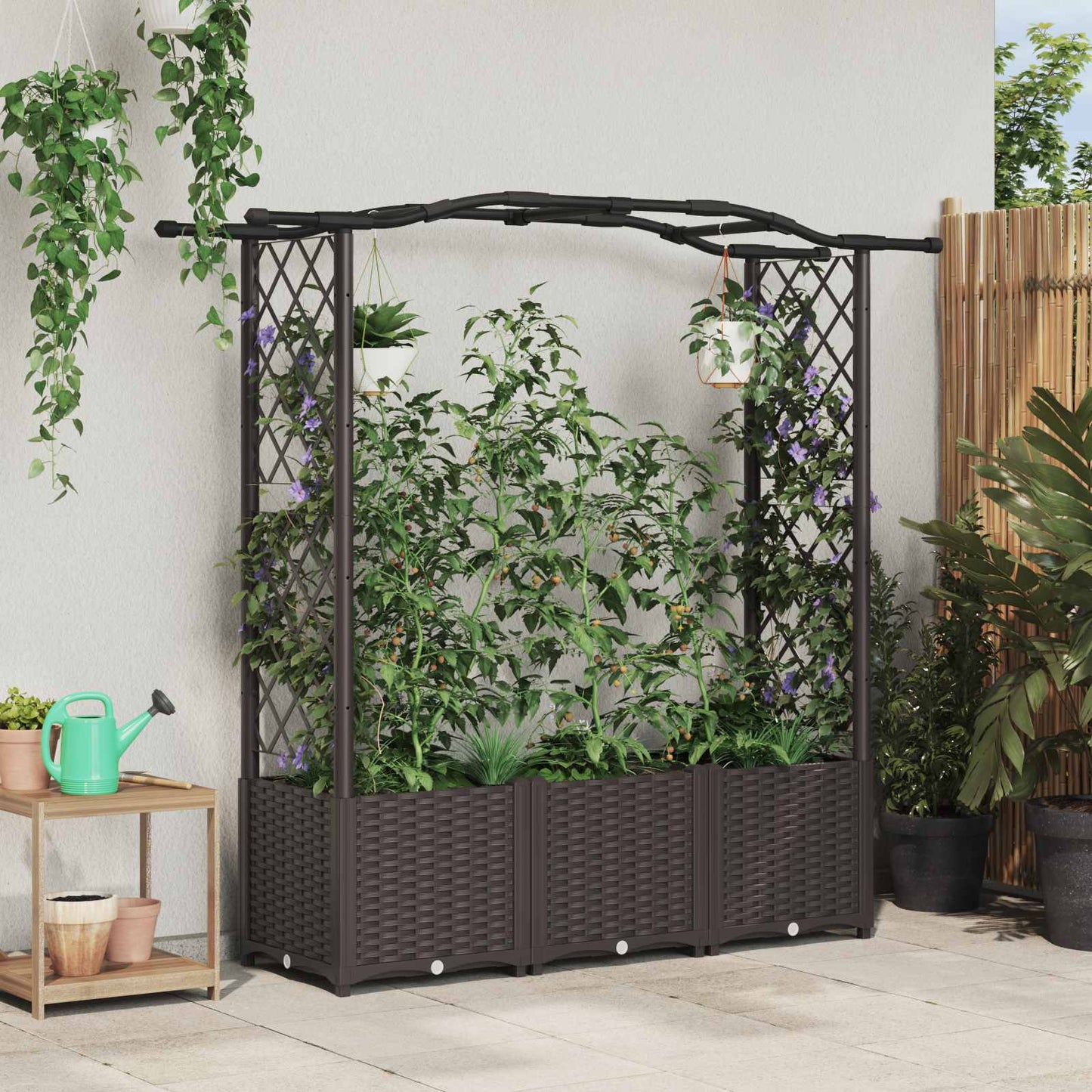 Raised Bed with Trellis and Roof Brown 164 x 40 x 138 cm PP